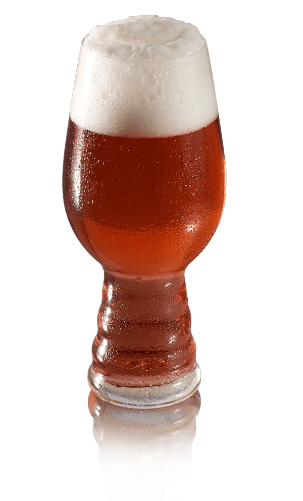 PACK RED IPA