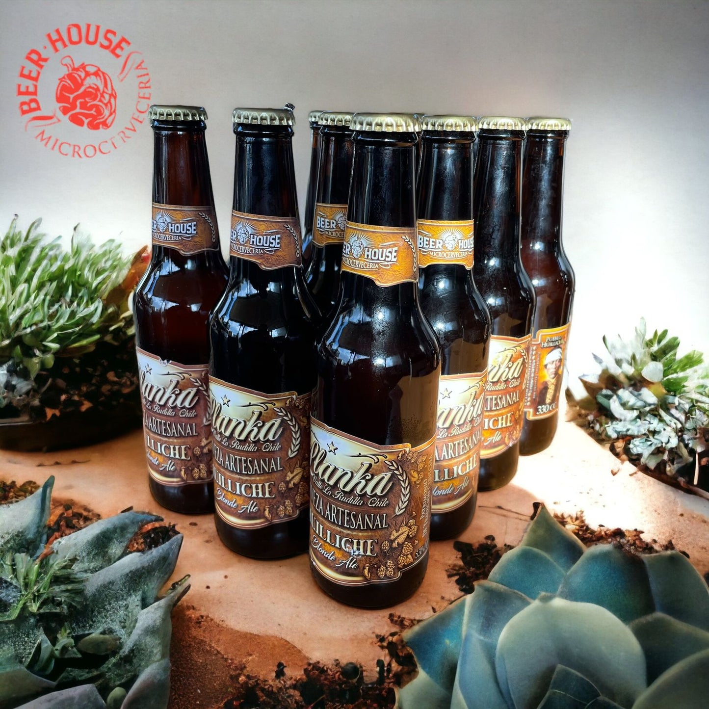 PACK BLONDE ALE