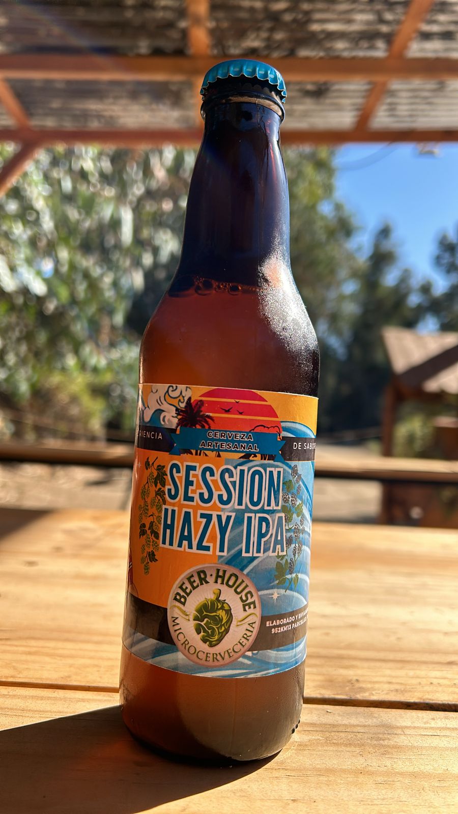 HAZY IPA - BOTELLA Y LATA